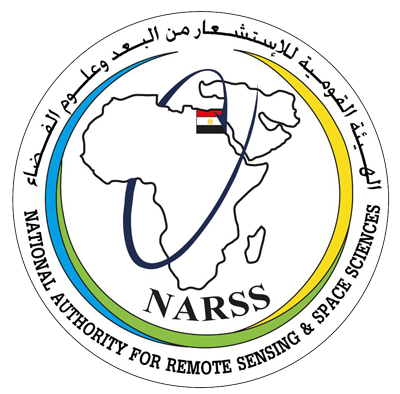 NARSS Logo