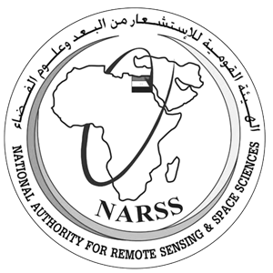 NARSS Logo